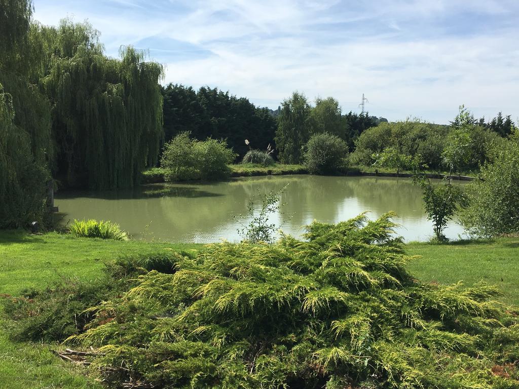 Domaine De Geffosse Hotel Pont-Évêque Buitenkant foto